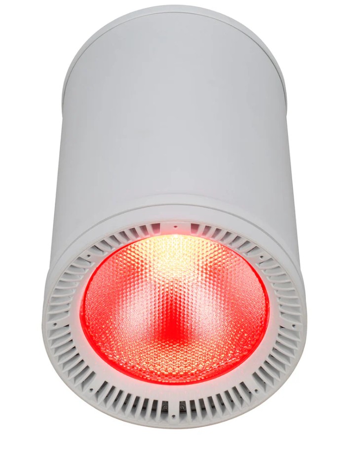 Elation Fuze Pendant - White